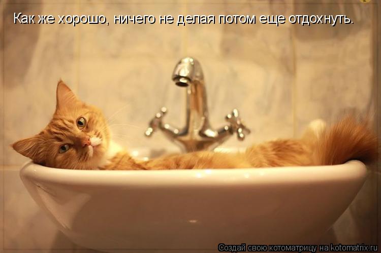 Котоматрица: Как же хорошо, ничего не делая потом еще отдохнуть.