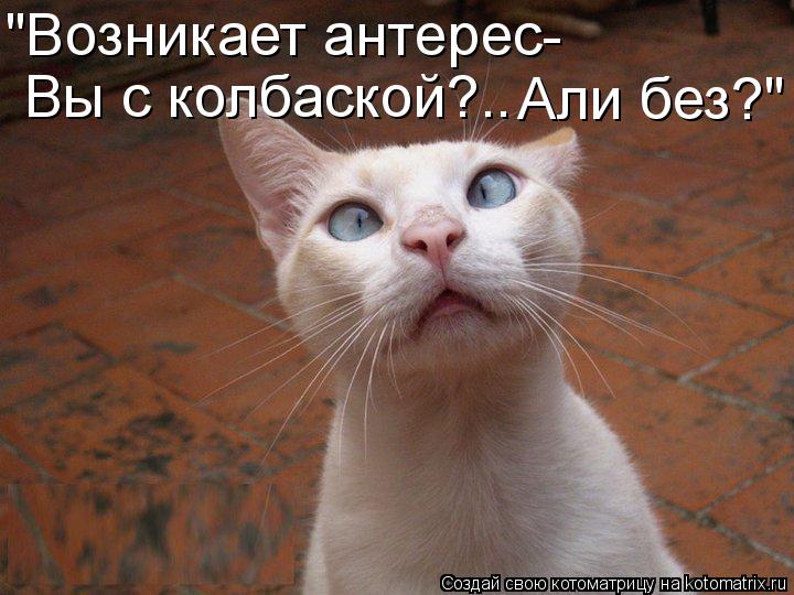 "Возникает антерес- Вы с колбаской?.. Али без?"... Котоматрица: "Возникает антерес- Вы с колбаской?.. Али без?"