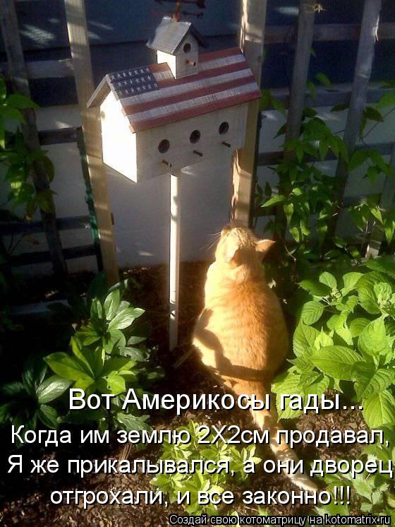 Вот Америкосы гады... Когда им землю 2Х2см продавал, Я же прикалывался, а они дворец отгрохали, и все... Котоматрица: Вот Америкосы гады... Когда им землю 2Х2см продавал, Я же прикалывался, а они дворец отгрохали, и все законно!!!