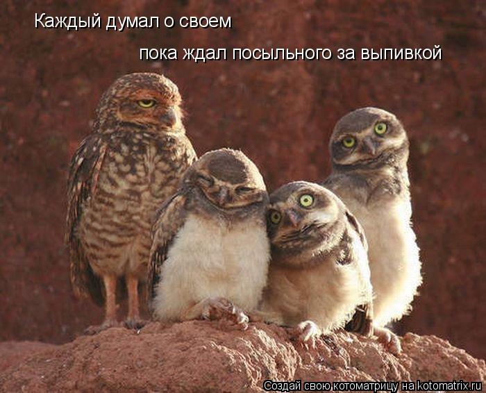 Каждый думал о своем пока ждал посыльного за выпивкой... Котоматрица: Каждый думал о своем пока ждал посыльного за выпивкой