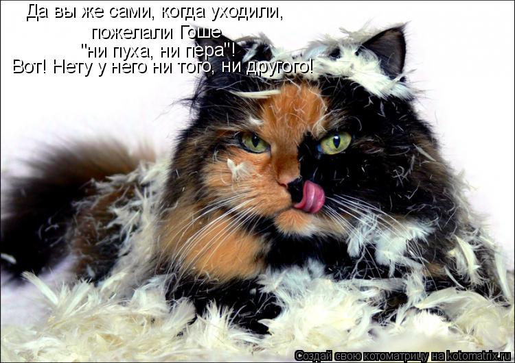 Да вы же сами, когда уходили, пожелали Гоше "ни пуха, ни пера"! Вот! Нету у него ни того, ни другого!... Котоматрица: Да вы же сами, когда уходили, пожелали Гоше "ни пуха, ни пера"! Вот! Нету у него ни того, ни другого!