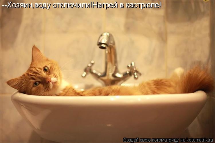 --Хозяин,воду отключили!Нагрей в кастрюле!... Котоматрица: --Хозяин,воду отключили!Нагрей в кастрюле!