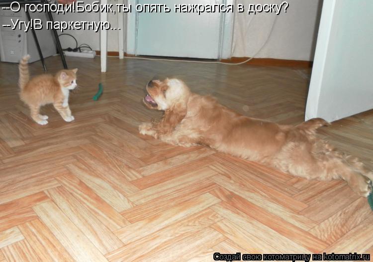 --О господи!Бобик,ты опять нажрался в доску? --Угу!В паркетную...... Котоматрица: --О господи!Бобик,ты опять нажрался в доску? --Угу!В паркетную...