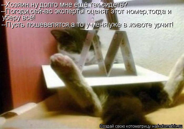 --Хозяин,ну долго мне ещё так сидеть? --Погоди,сейчас эксперты оценят этот номер,тогда и уберу всё! -... Котоматрица: --Хозяин,ну долго мне ещё так сидеть? --Погоди,сейчас эксперты оценят этот номер,тогда и уберу всё! --Пусть пошевелятся,а то у меня уже в животе