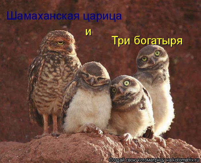 Шамаханская царица Три богатыря и... Котоматрица: Шамаханская царица Три богатыря и