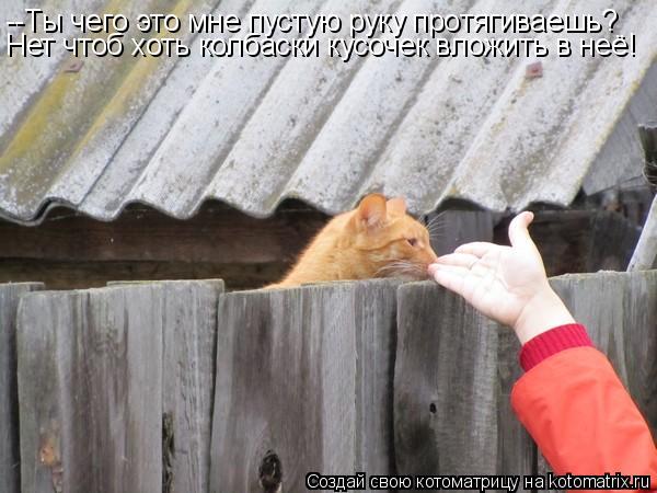 --Ты чего это мне пустую руку протягиваешь? Нет чтоб хоть колбаски кусочек вложить в неё!... Котоматрица: --Ты чего это мне пустую руку протягиваешь? Нет чтоб хоть колбаски кусочек вложить в неё!