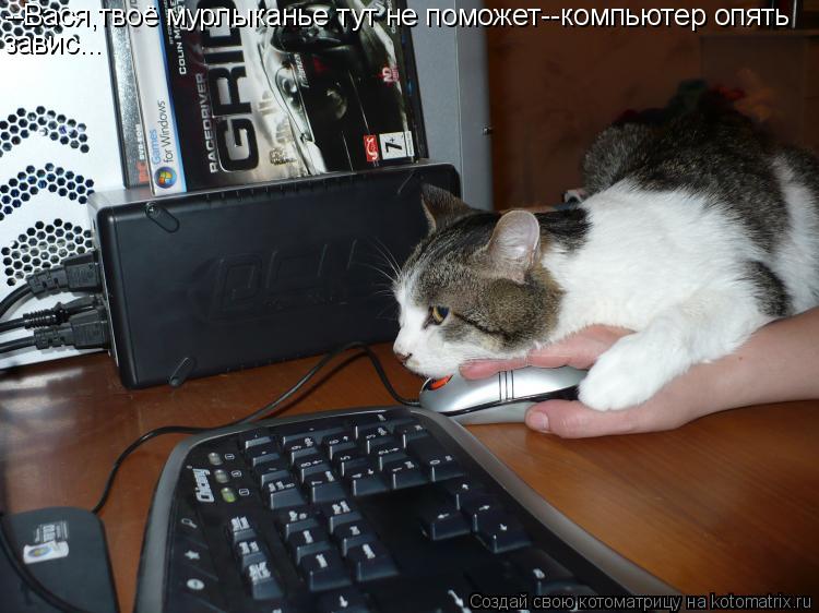 --Вася,твоё мурлыканье тут не поможет--компьютер опять завис...... Котоматрица: --Вася,твоё мурлыканье тут не поможет--компьютер опять завис...