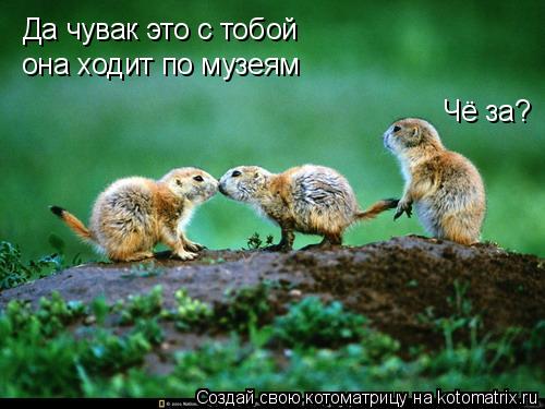 Чё за? Да чувак это с тобой она ходит по музеям... Котоматрица: Чё за? Да чувак это с тобой она ходит по музеям