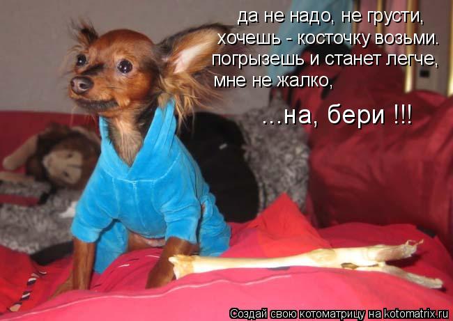 да не надо, не грусти, хочешь - косточку возьми. погрызешь и станет легче, мне не жалко, ...на, бери... Котоматрица: да не надо, не грусти, хочешь - косточку возьми. погрызешь и станет легче, мне не жалко, ...на, бери !!!