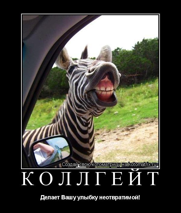 Коллгейт Делает Вашу улыбку неотвратимой!... Котоматрица: Коллгейт Делает Вашу улыбку неотвратимой!