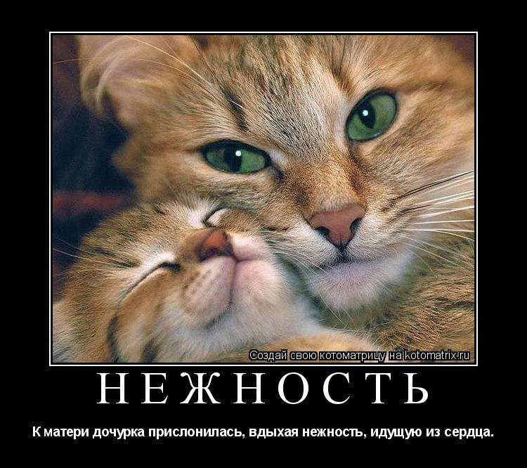 НЕЖНОСТЬ К матери дочурка прислонилась, вдыхая нежность, идущую из сердца.... Котоматрица: НЕЖНОСТЬ К матери дочурка прислонилась, вдыхая нежность, идущую из сердца.