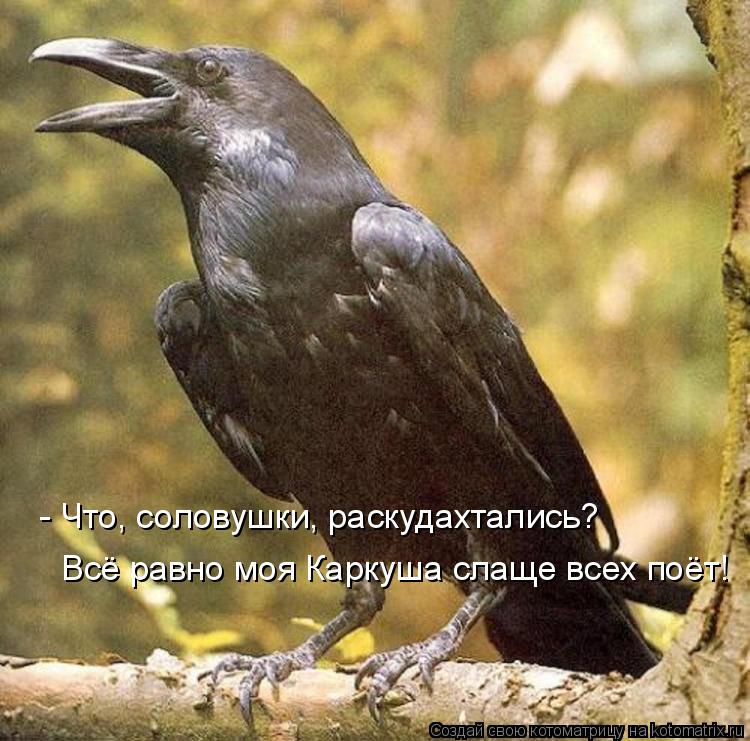 - Что, соловушки, раскудахтались? Всё равно моя Каркуша слаще всех поёт!... Котоматрица: - Что, соловушки, раскудахтались? Всё равно моя Каркуша слаще всех поёт!