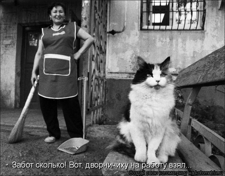 Забот сколько! Вот, дворничиху на работу взял...... Котоматрица: Забот сколько! Вот, дворничиху на работу взял...