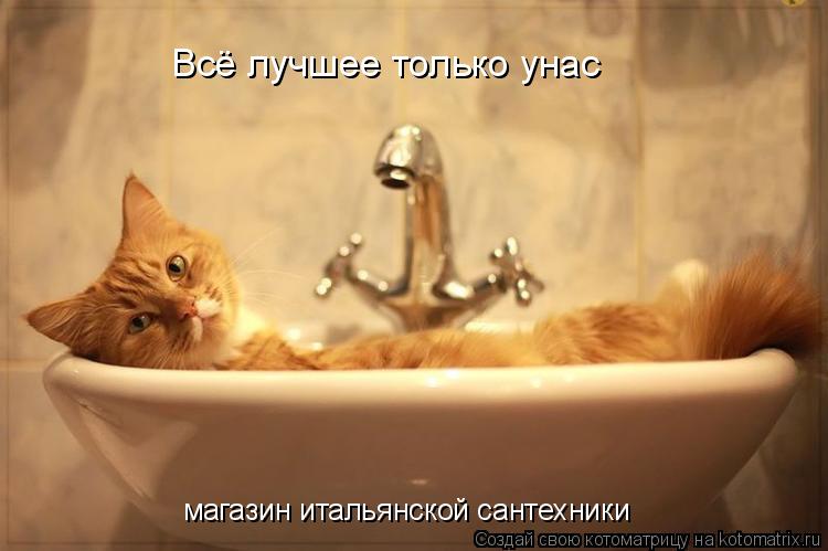 Всё лучшее только унас магазин итальянской сантехники... Котоматрица: Всё лучшее только унас магазин итальянской сантехники