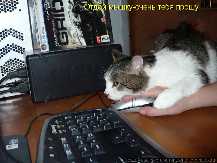 Отдай мышку-очень тебя прошу... Котоматрица: Отдай мышку-очень тебя прошу