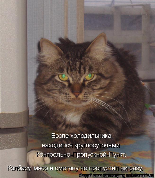 Возле холодильника находился круглосуточный Контрольно-Пропускной-Пункт. Колбасу, мясо и сметану не п... Котоматрица: Возле холодильника находился круглосуточный Контрольно-Пропускной-Пункт. Колбасу, мясо и сметану не пропустил ни разу.