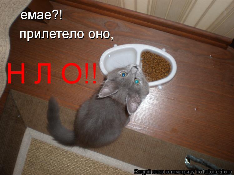 емае?! прилетело оно, Н Л О!!... Котоматрица: емае?! прилетело оно, Н Л О!!