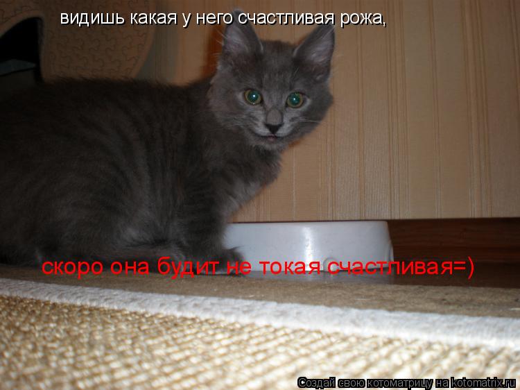 видишь какая у него счастливая рожа, скоро она будит не токая счастливая=)... Котоматрица: видишь какая у него счастливая рожа, скоро она будит не токая счастливая=)