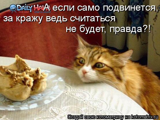 А если само подвинется, за кражу ведь считаться не будет, правда?!... Котоматрица: А если само подвинется, за кражу ведь считаться не будет, правда?!