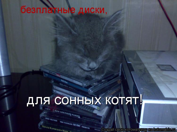 безплатные диски, для сонных котят!... Котоматрица: безплатные диски, для сонных котят!