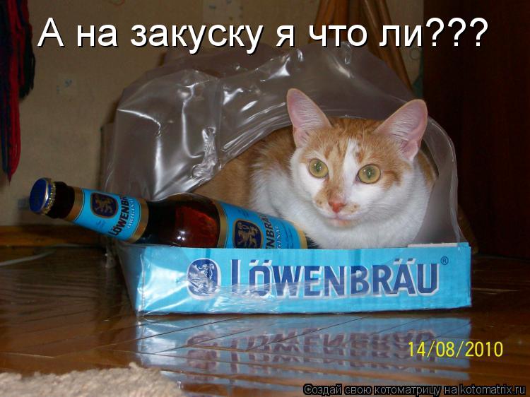 А на закуску я что ли???... Котоматрица: А на закуску я что ли???