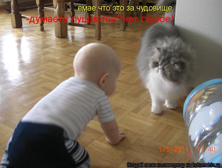 емае что это за чудовище, -думаете пушистое?нет лысое!... Котоматрица: емае что это за чудовище, -думаете пушистое?нет лысое!