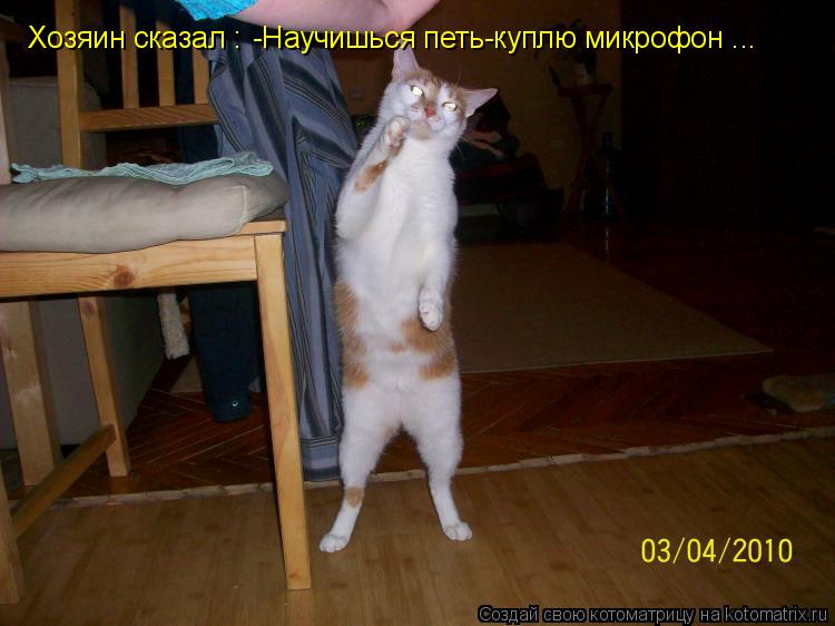 Хозяин сказал : -Научишься петь-куплю микрофон ...... Котоматрица: Хозяин сказал : -Научишься петь-куплю микрофон ...