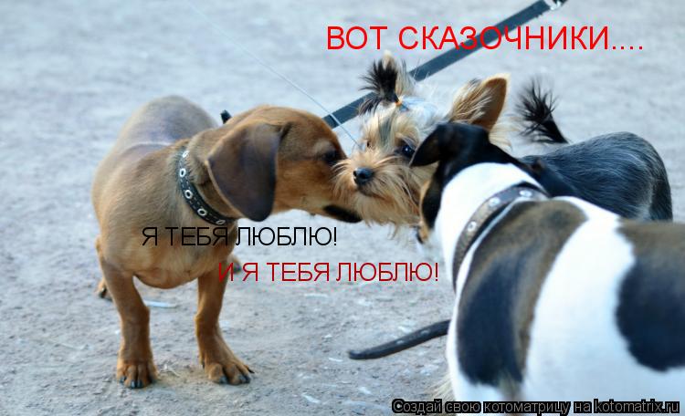Я ТЕБЯ ЛЮБЛЮ! И Я ТЕБЯ ЛЮБЛЮ! ВОТ СКАЗОЧНИКИ....... Котоматрица: Я ТЕБЯ ЛЮБЛЮ! И Я ТЕБЯ ЛЮБЛЮ! ВОТ СКАЗОЧНИКИ....