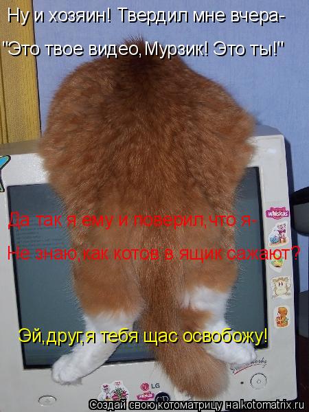 Ну и хозяин! Твердил мне вчера- "Это твое видео,Мурзик! Это ты!" Да так я ему и поверил,что я- Не зна... Котоматрица: Ну и хозяин! Твердил мне вчера- "Это твое видео,Мурзик! Это ты!" Да так я ему и поверил,что я- Не знаю,как котов в ящик сажают? Эй,друг,я тебя щас