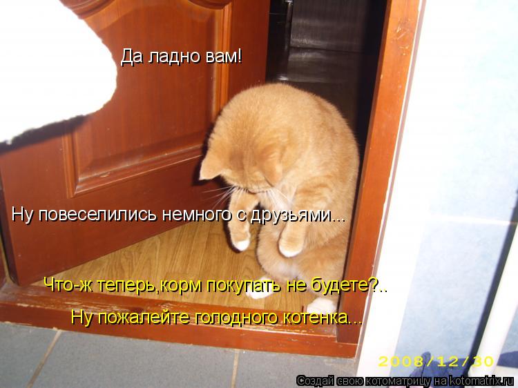 Да ладно вам! Ну повеселились немного с друзьями... Что-ж теперь,корм покупать не будете?.. Ну пожале... Котоматрица: Да ладно вам! Ну повеселились немного с друзьями... Что-ж теперь,корм покупать не будете?.. Ну пожалейте голодного котенка...