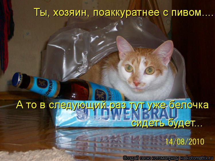 Ты, хозяин, поаккуратнее с пивом.... А то в следующий раз тут уже белочка сидеть будет...... Котоматрица: Ты, хозяин, поаккуратнее с пивом.... А то в следующий раз тут уже белочка сидеть будет...