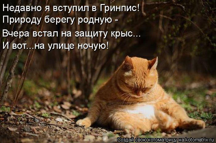 Природу берегу родную - И вот...на улице ночую! Недавно я вступил в Гринпис! Вчера встал на защиту кр... Котоматрица: Природу берегу родную - И вот...на улице ночую! Недавно я вступил в Гринпис! Вчера встал на защиту крыс...