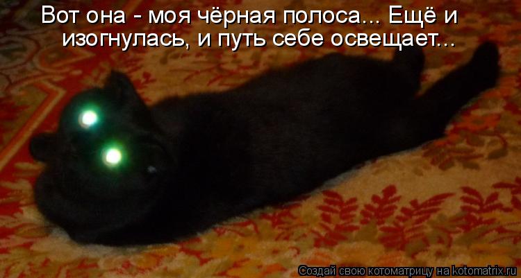 Вот она - моя чёрная полоса... Ещё и изогнулась, и путь себе освещает...... Котоматрица: Вот она - моя чёрная полоса... Ещё и изогнулась, и путь себе освещает...