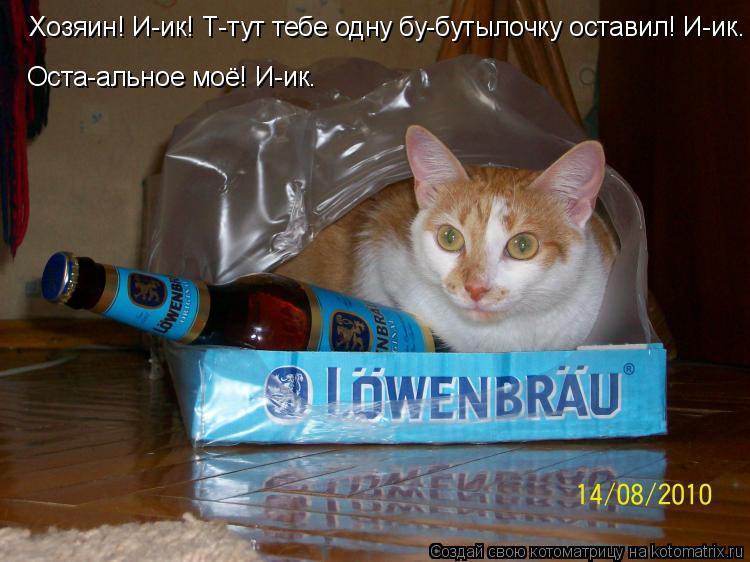 Хозяин! И-ик! Т-тут тебе одну бу-бутылочку оставил! И-ик. Оста-альное моё! И-ик.... Котоматрица: Хозяин! И-ик! Т-тут тебе одну бу-бутылочку оставил! И-ик. Оста-альное моё! И-ик.