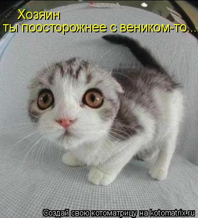 Хозяин ты поосторожнее с веником-то...... Котоматрица: Хозяин ты поосторожнее с веником-то...