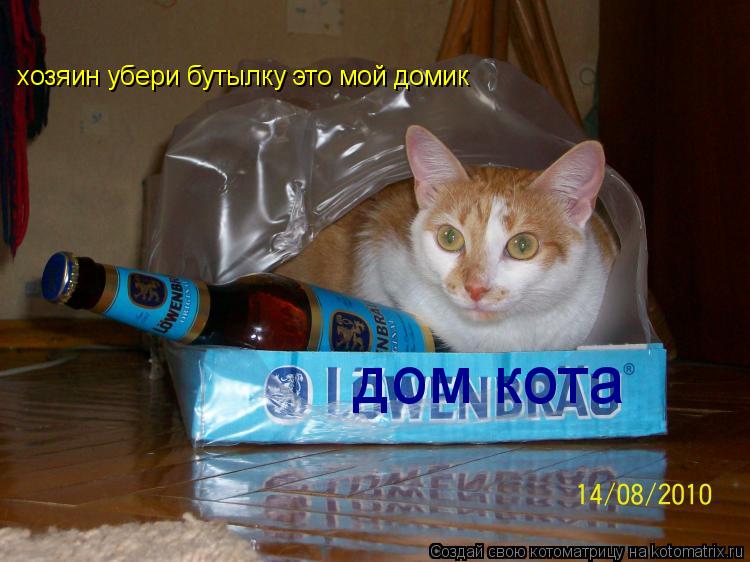 хозяин убери бутылку это мой домик дом кота... Котоматрица: хозяин убери бутылку это мой домик дом кота
