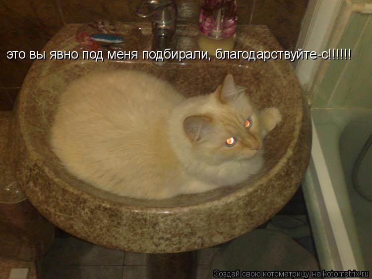 это вы явно под меня подбирали, благодарствуйте-с!!!!!!... Котоматрица: это вы явно под меня подбирали, благодарствуйте-с!!!!!!