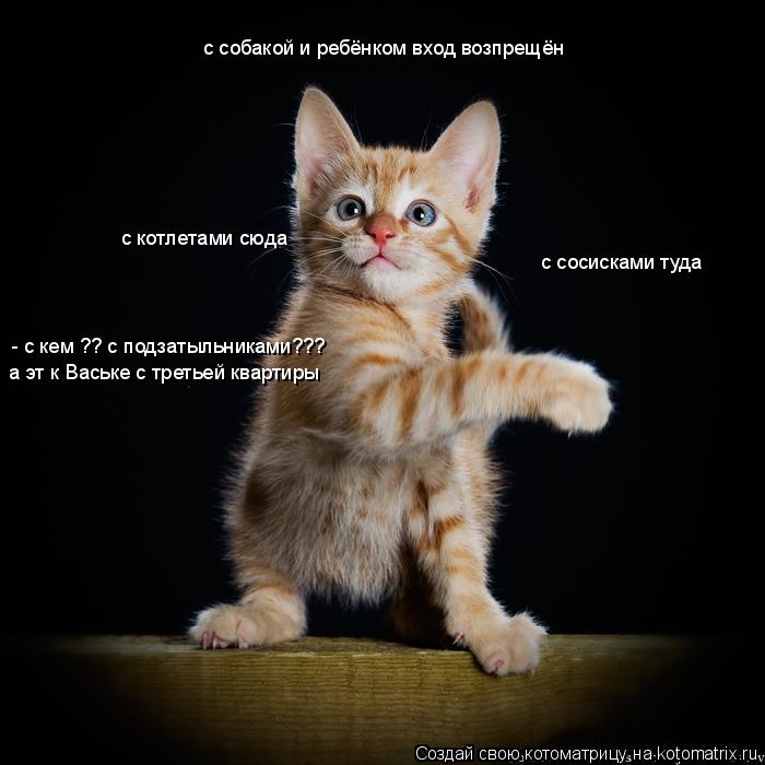 с сосисками туда с собакой и ребёнком вход возпрещён с котлетами сюда - с кем ?? с подзатыльниками???... Котоматрица: с сосисками туда с собакой и ребёнком вход возпрещён с котлетами сюда - с кем ?? с подзатыльниками??? а эт к Ваське с третьей квартиры