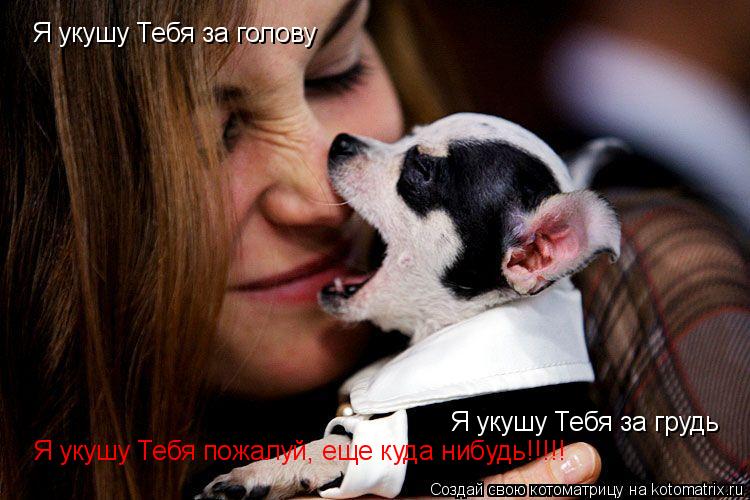 Я укушу Тебя за голову Я укушу Тебя за грудь Я укушу Тебя пожалуй, еще куда нибудь!!!!!... Котоматрица: Я укушу Тебя за голову Я укушу Тебя за грудь Я укушу Тебя пожалуй, еще куда нибудь!!!!!