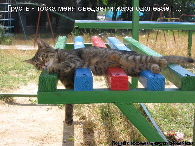 Грусть - тоска меня съедает и жара одолевает ...... Котоматрица: Грусть - тоска меня съедает и жара одолевает ...