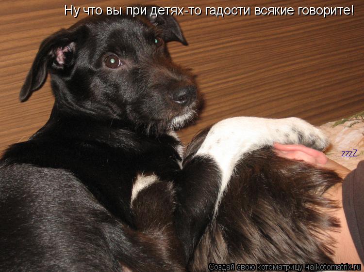 Ну что вы при детях-то гадости всякие говорите! ...zzzZ ...zzzZ... Котоматрица: Ну что вы при детях-то гадости всякие говорите! ...zzzZ ...zzzZ