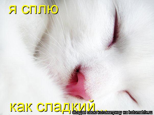 я сплю как сладкий...... Котоматрица: я сплю как сладкий...