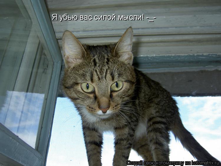 Я убью вас силой мысли! -_-... Котоматрица: Я убью вас силой мысли! -_-