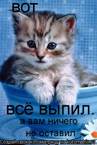 вот всё выпил.. а вам ничего не оставил... Котоматрица: вот всё выпил.. а вам ничего не оставил