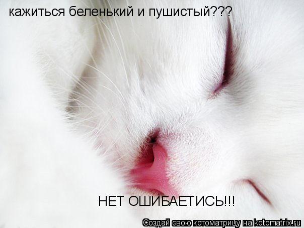кажиться беленький и пушистый??? НЕТ ОШИБАЕТИСЬ!!!... Котоматрица: кажиться беленький и пушистый??? НЕТ ОШИБАЕТИСЬ!!!