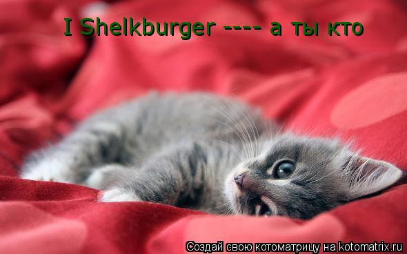 I Shelkburger ---- а ты кто... Котоматрица: I Shelkburger ---- а ты кто