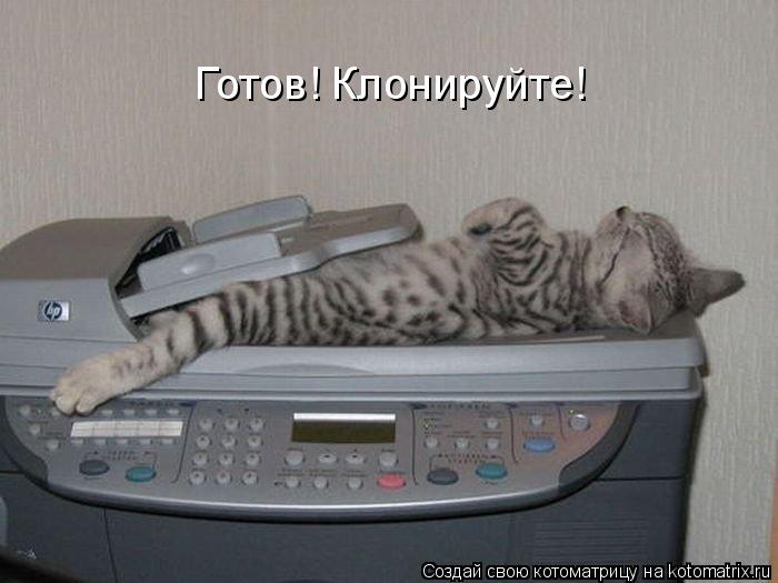 Готов! Клонируйте!... Котоматрица: Готов! Клонируйте!