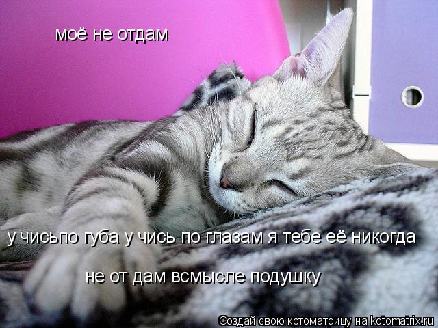 моё не отдам у чисьпо губа у чись по глазам я тебе её никогда не от дам всмысле подушку... Котоматрица: моё не отдам у чисьпо губа у чись по глазам я тебе её никогда не от дам всмысле подушку