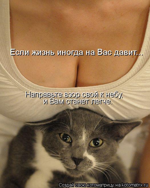 Если жизнь иногда на Вас давит... Направьте взор свой к небу, и Вам станет легче.... Котоматрица: Если жизнь иногда на Вас давит... Направьте взор свой к небу, и Вам станет легче.