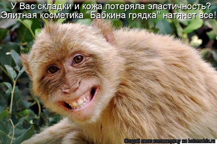 У Вас складки и кожа потеряла эластичность? Элитная косметика "Бабкина грядка" натянет все!... Котоматрица: У Вас складки и кожа потеряла эластичность? Элитная косметика "Бабкина грядка" натянет все!